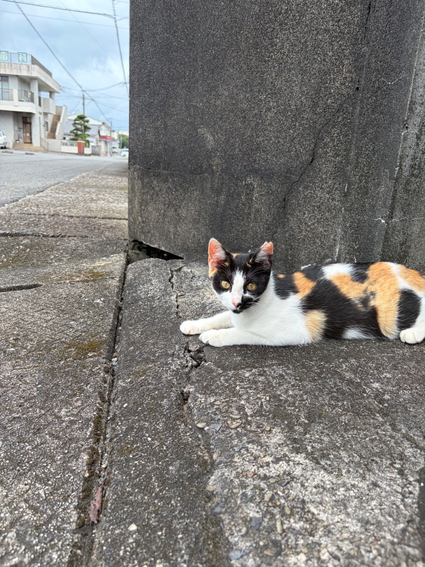 冷たくて気持ちいいね