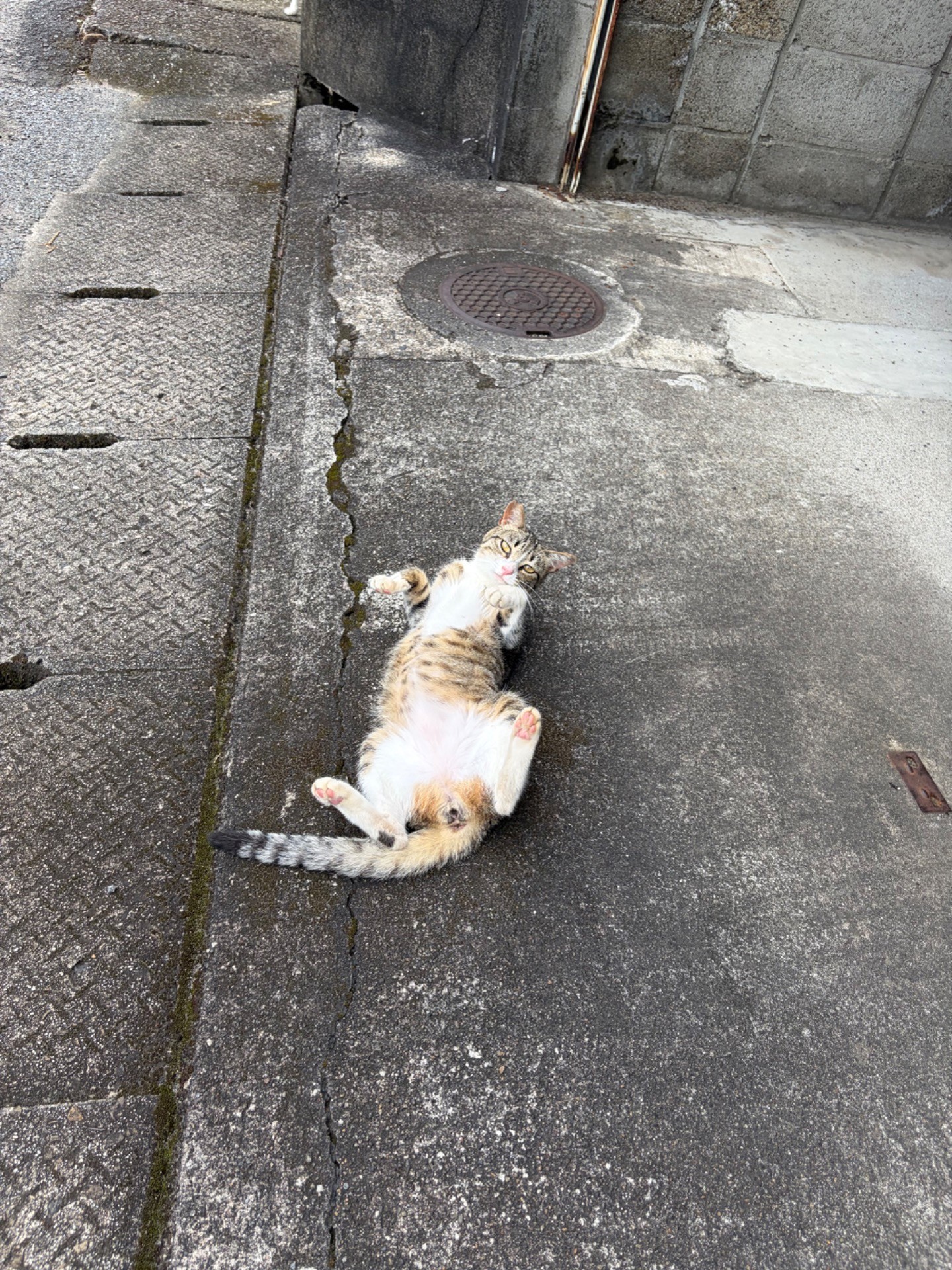 遊ぼうよ！