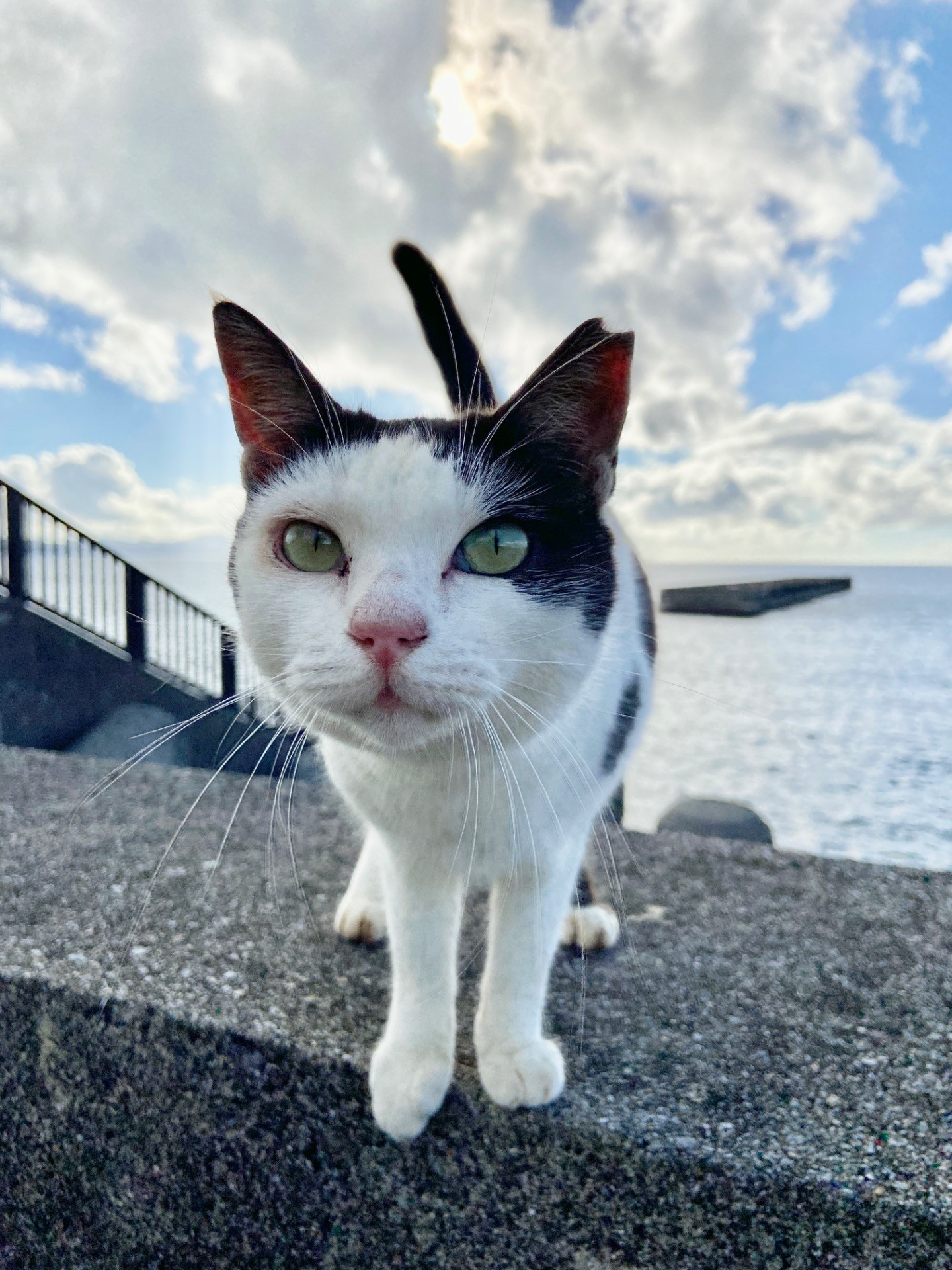 今日から友達！