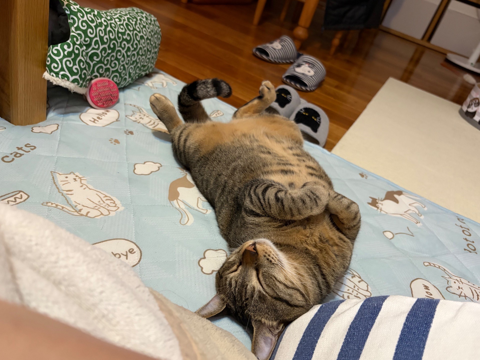 ごはんも食べたし
