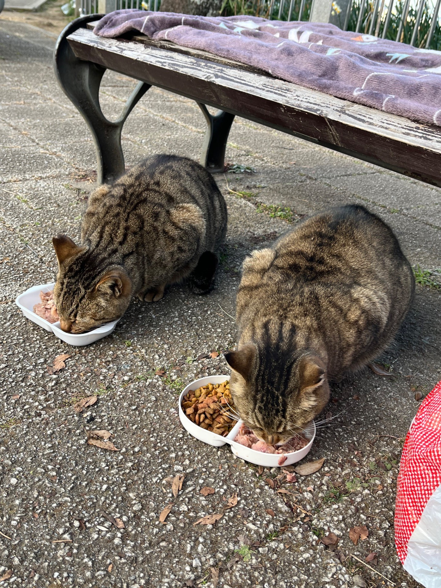姉弟一緒に仲良く朝ごはん❣️