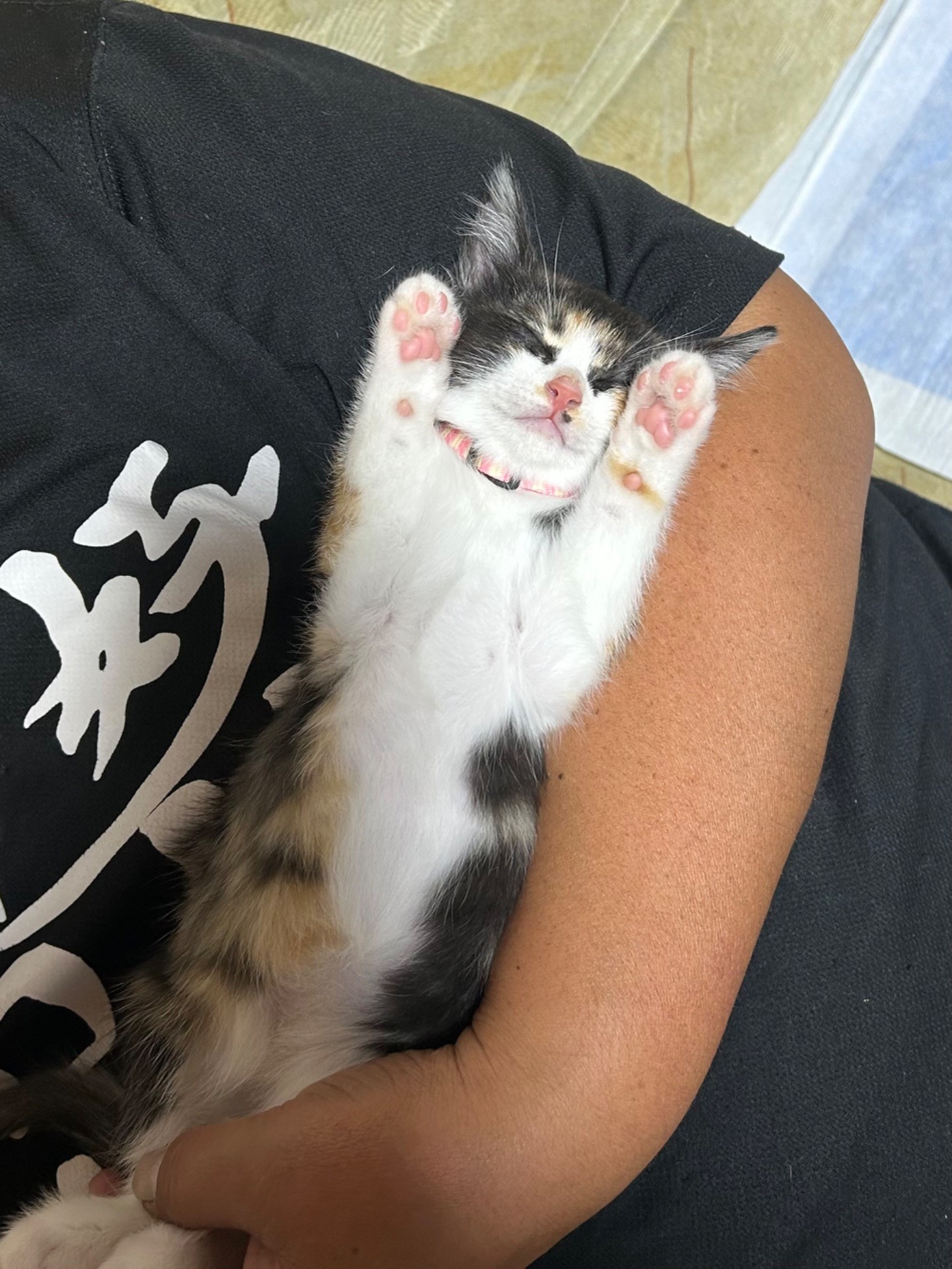 あったか腕の中で