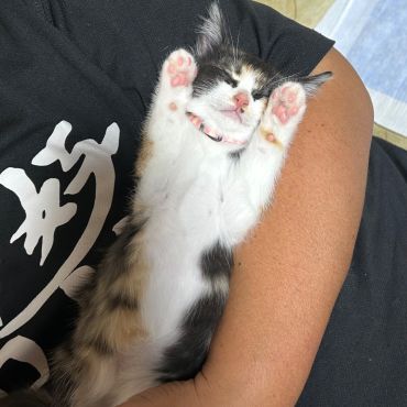 あったか腕の中で