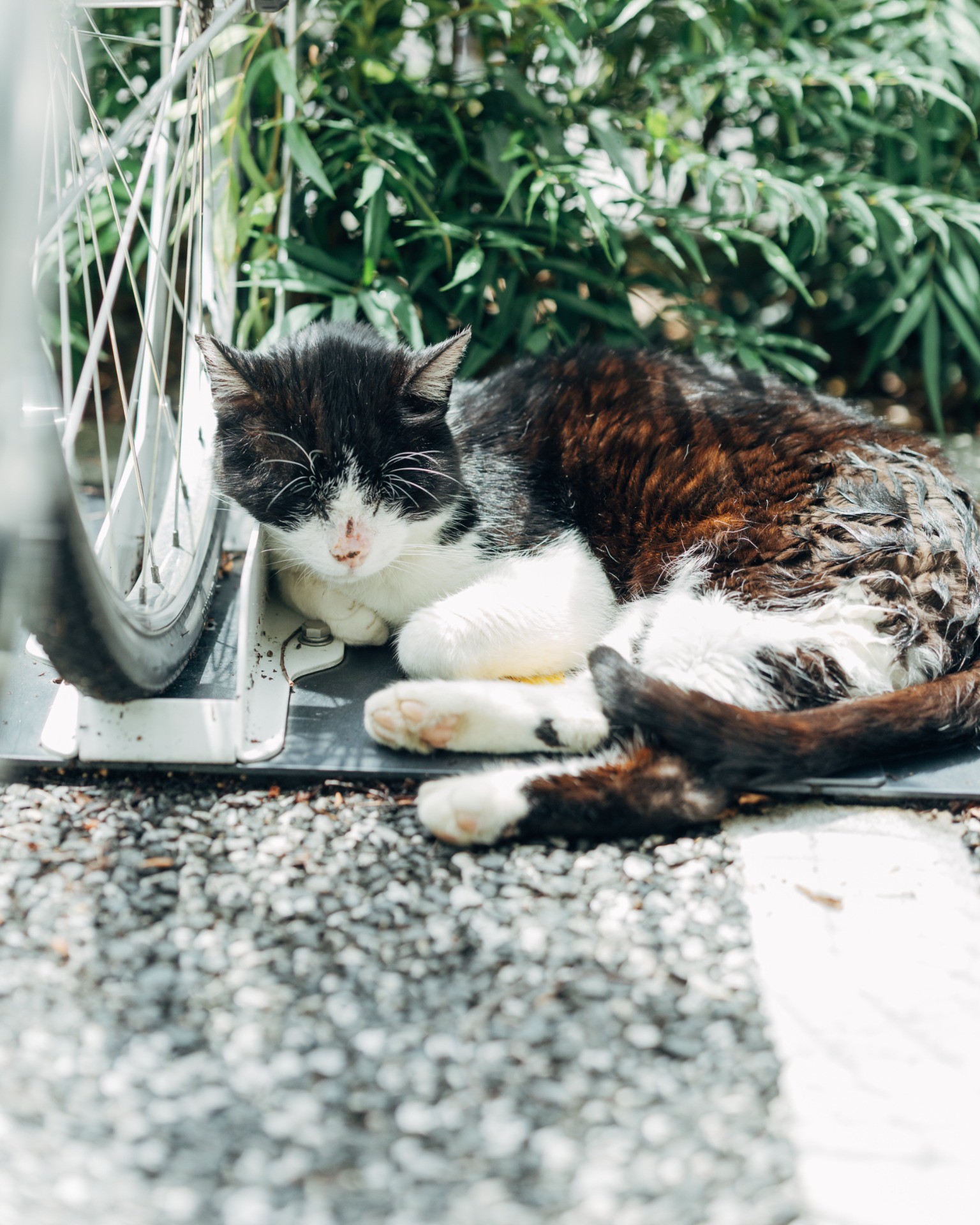 自転車のそばで