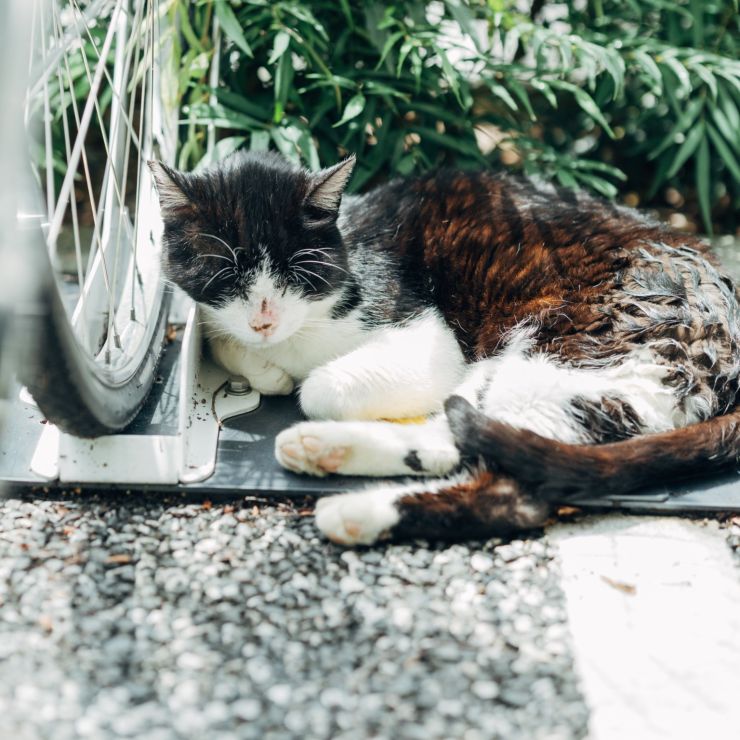 自転車のそばで