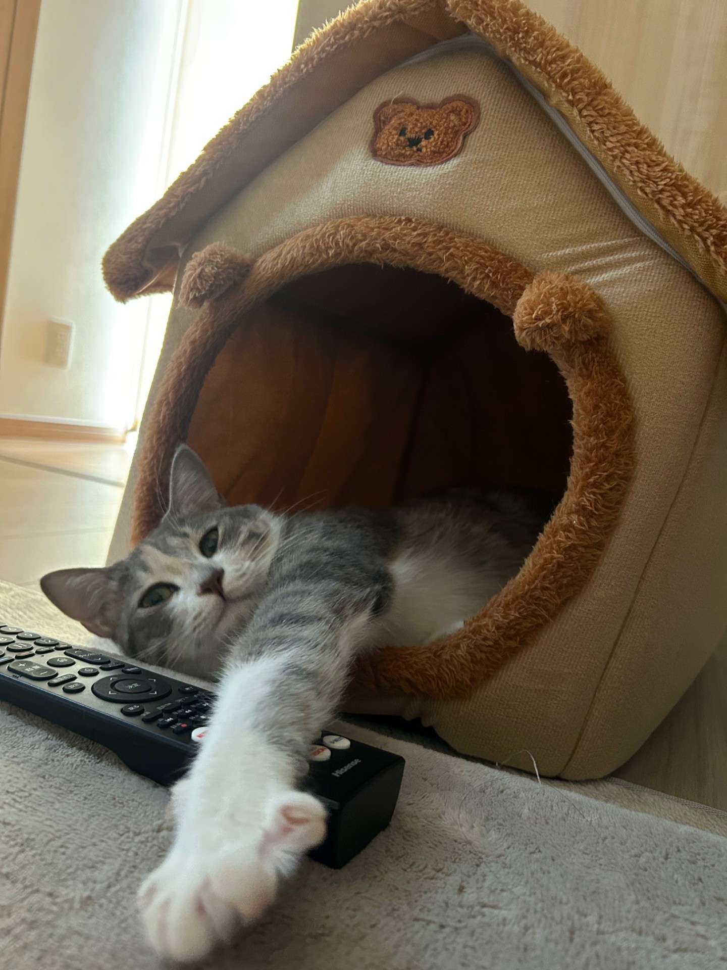 私のリモコンだにゃー