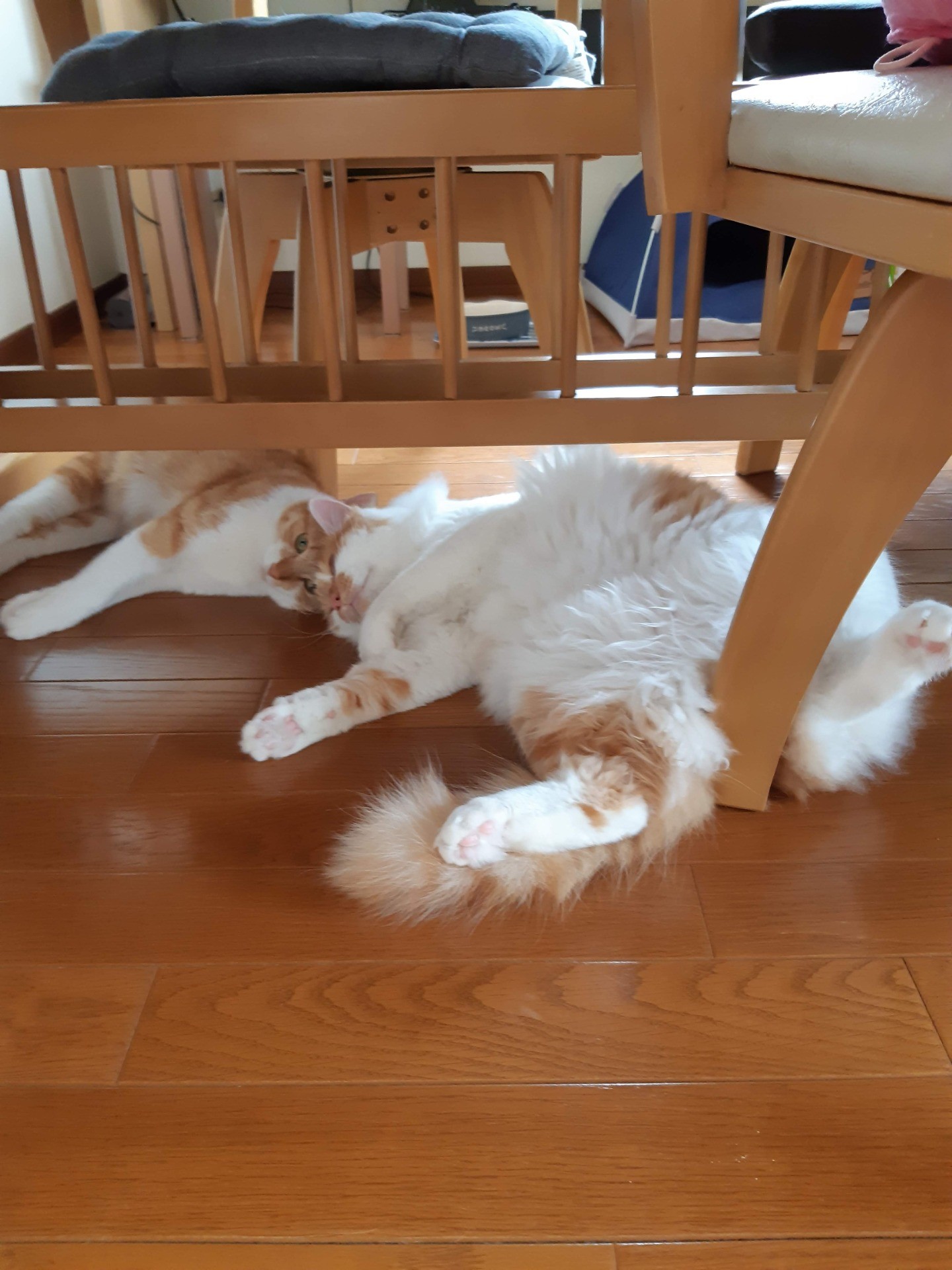 暑い