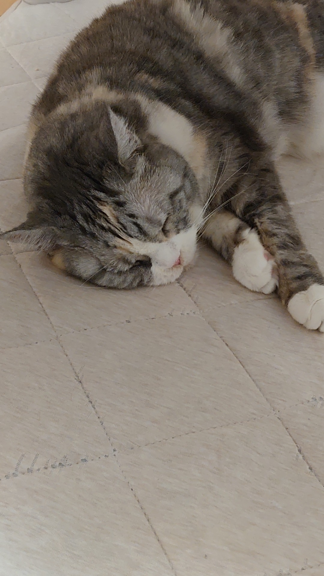 18年ありがとう！