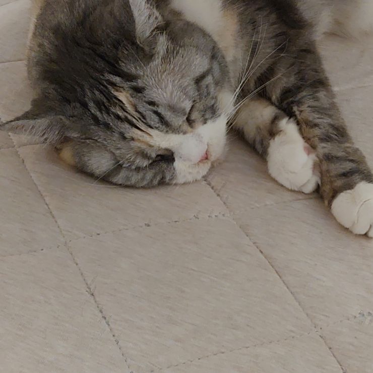 18年ありがとう！