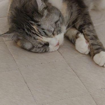 18年ありがとう！