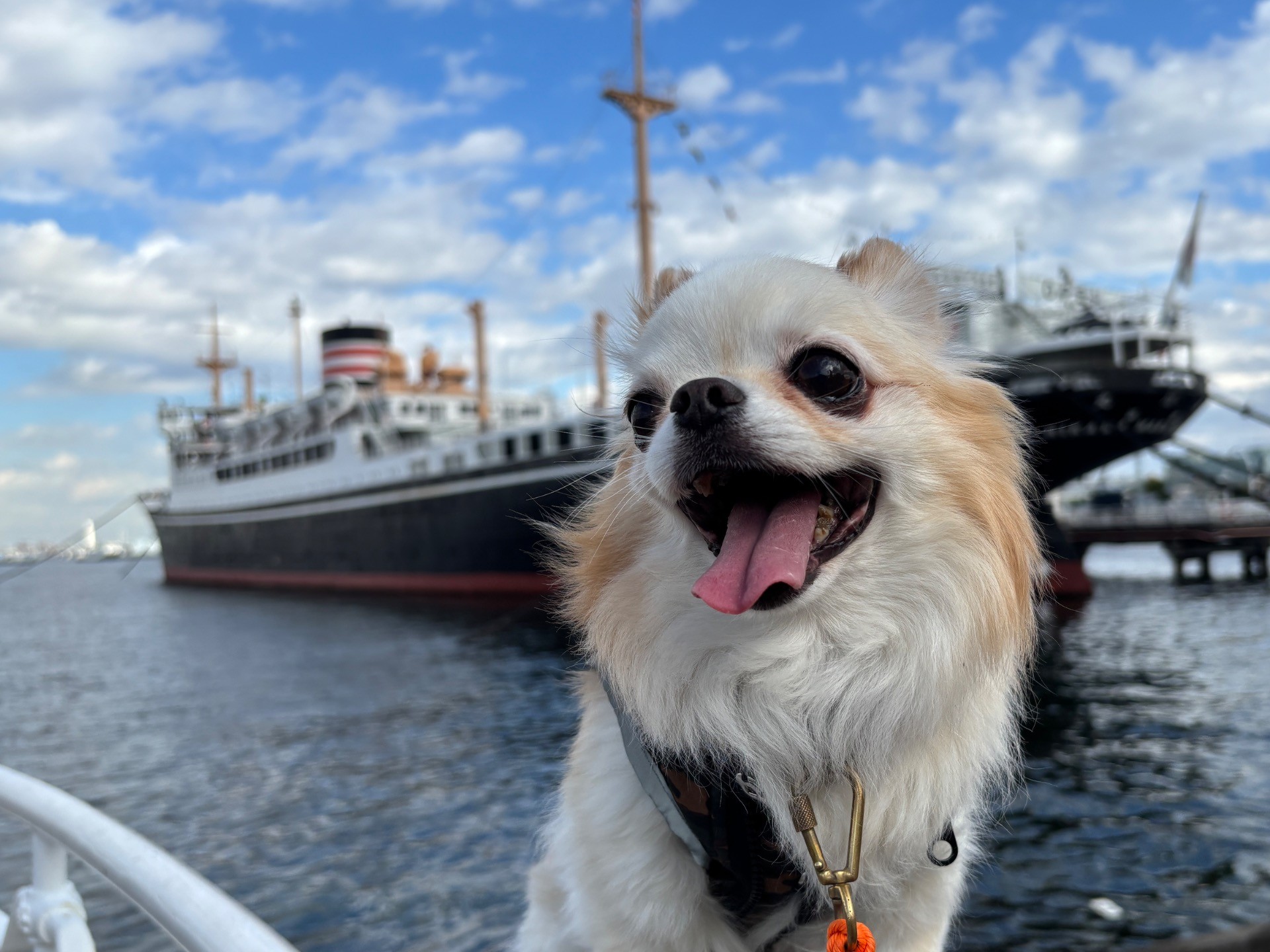 横浜、海風さんぽ
