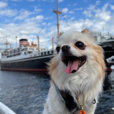 横浜、海風さんぽ