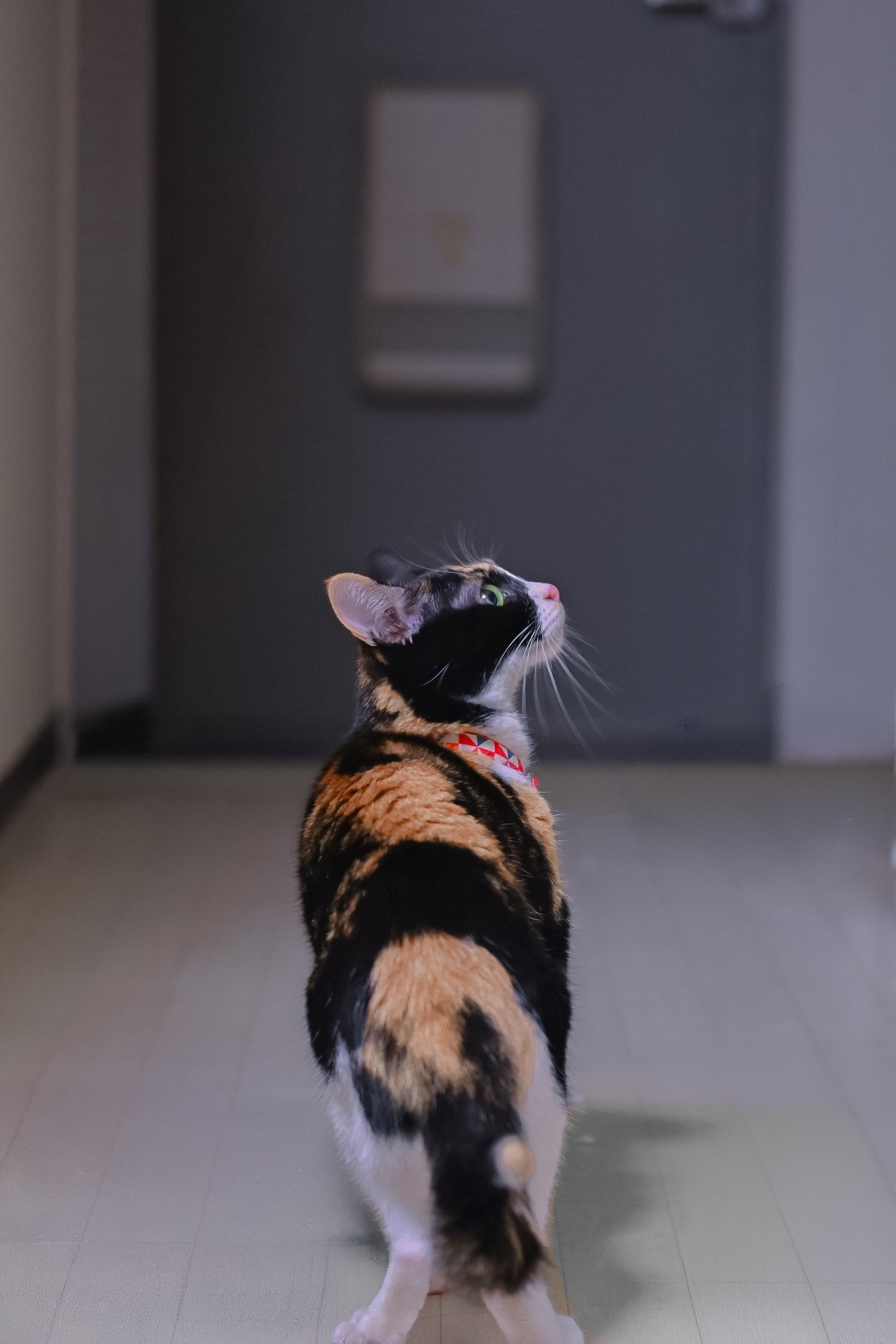 パパ、まだかなぁ。