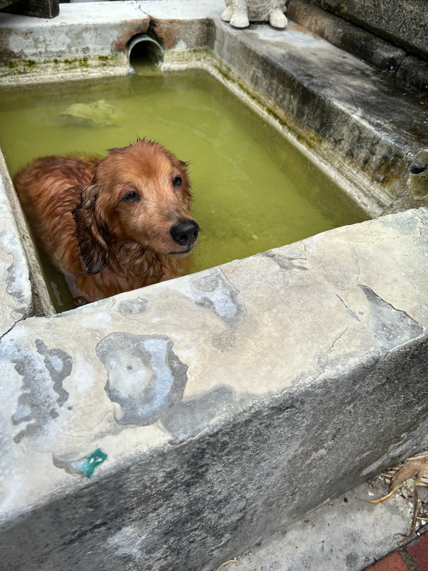いい湯だな