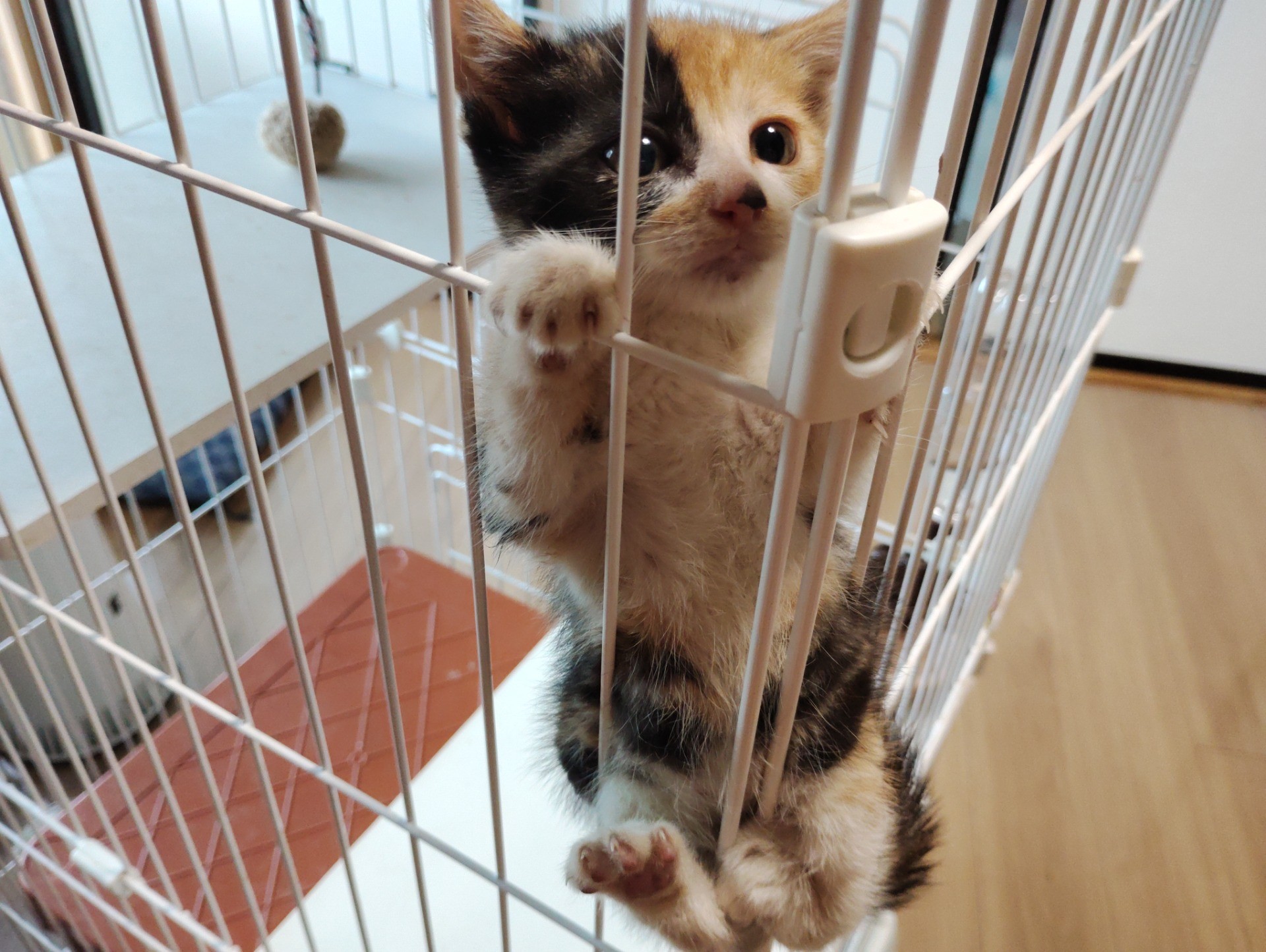 ここは安全なの？