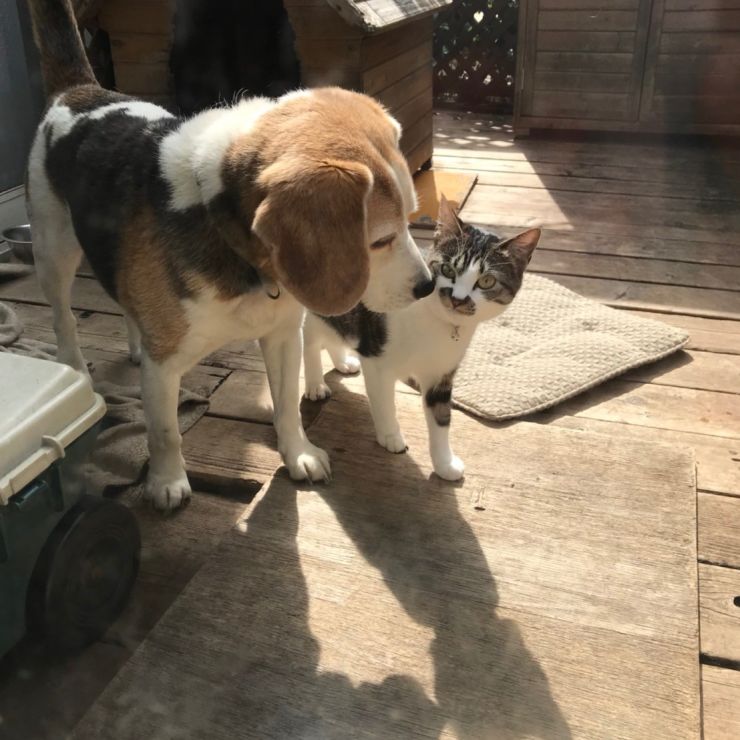 お兄ちゃんのおかげ