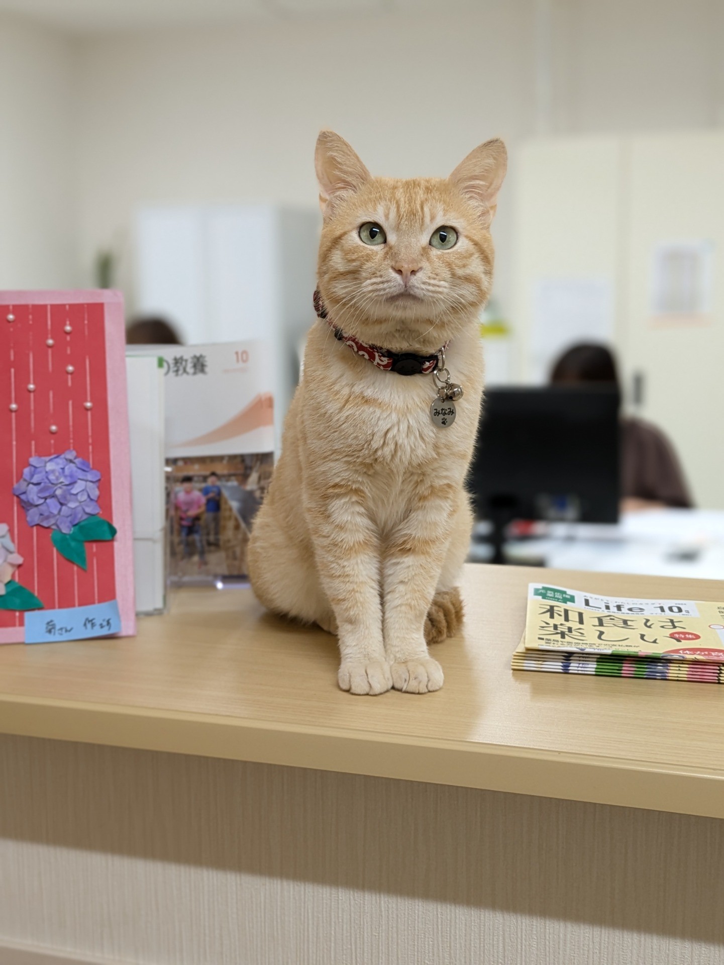 施設長のミナミです