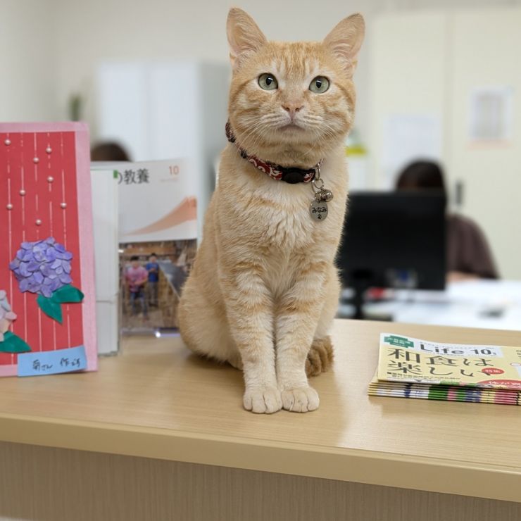 施設長のミナミです