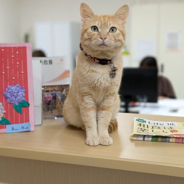 施設長のミナミです