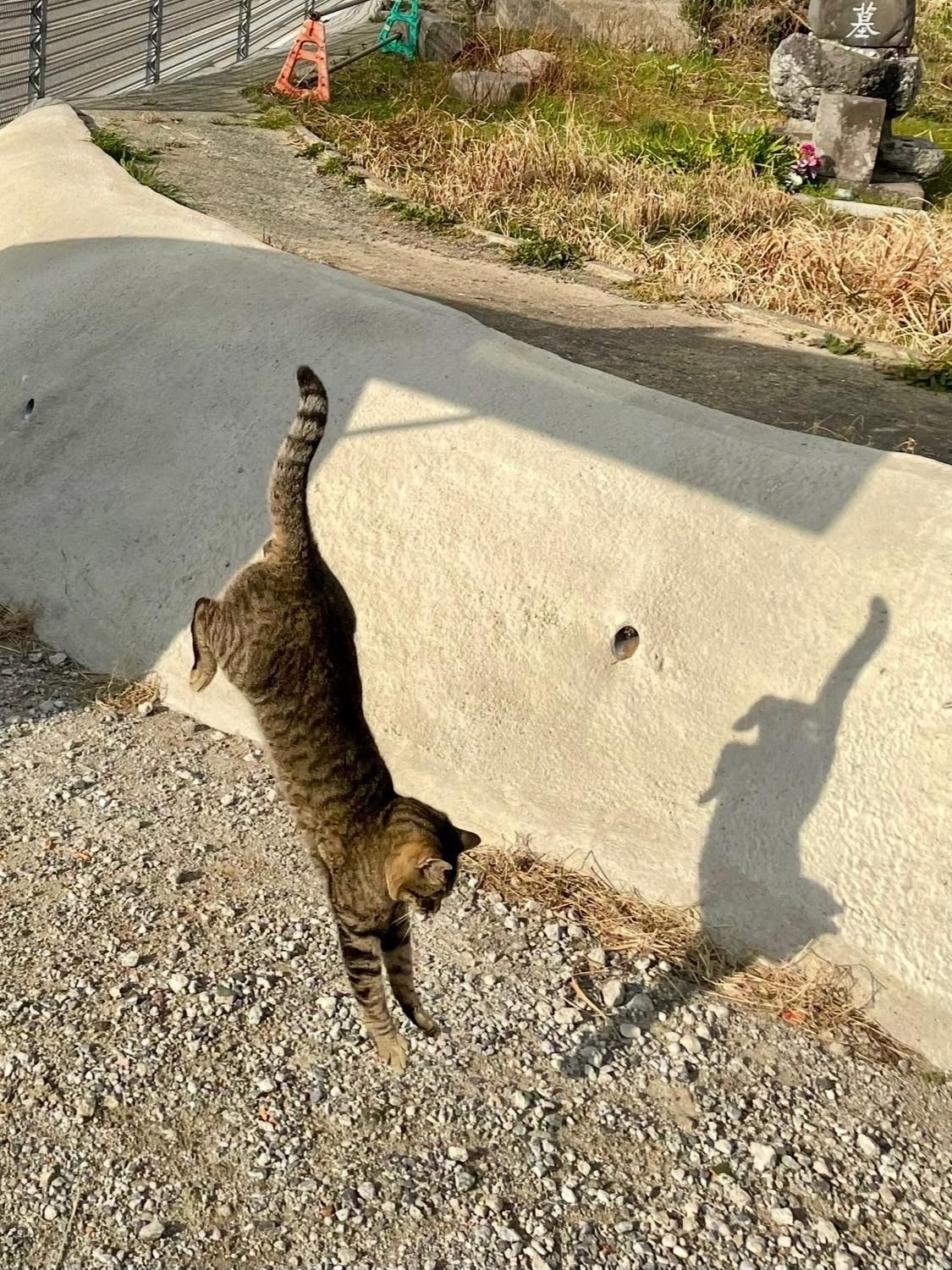 一緒に飛び降りたのはだれ？