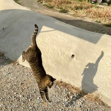 一緒に飛び降りたのはだれ？