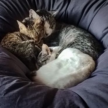 みんな仲良し