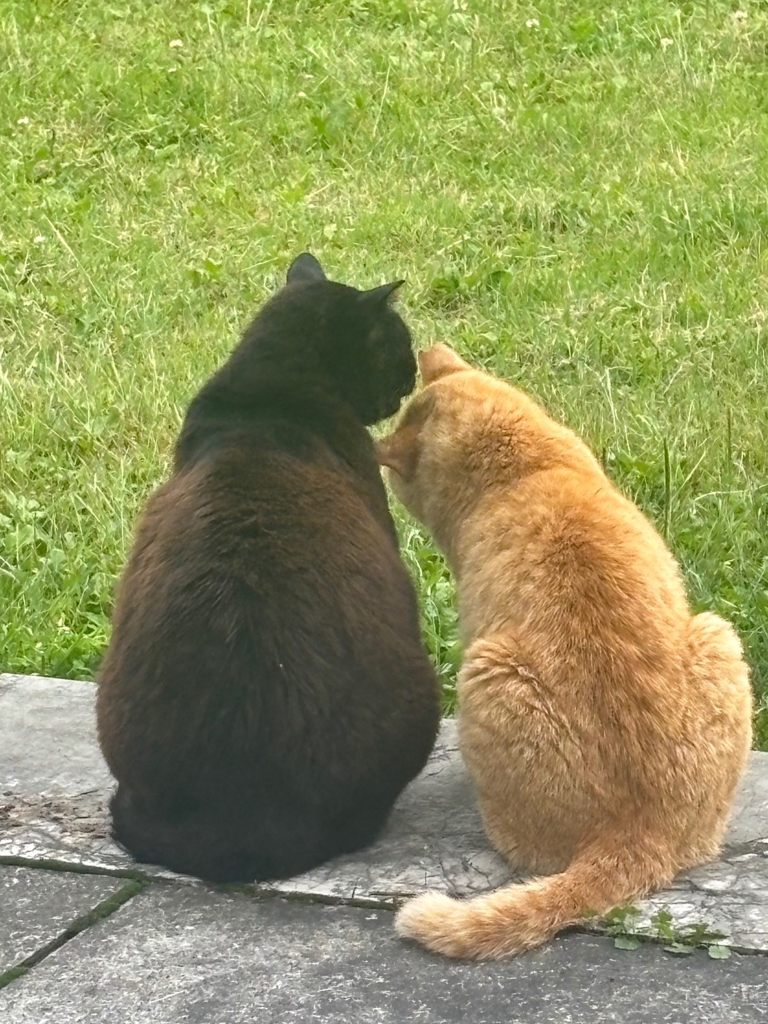 2人の友情