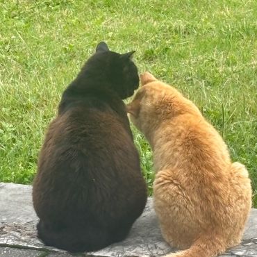 2人の友情