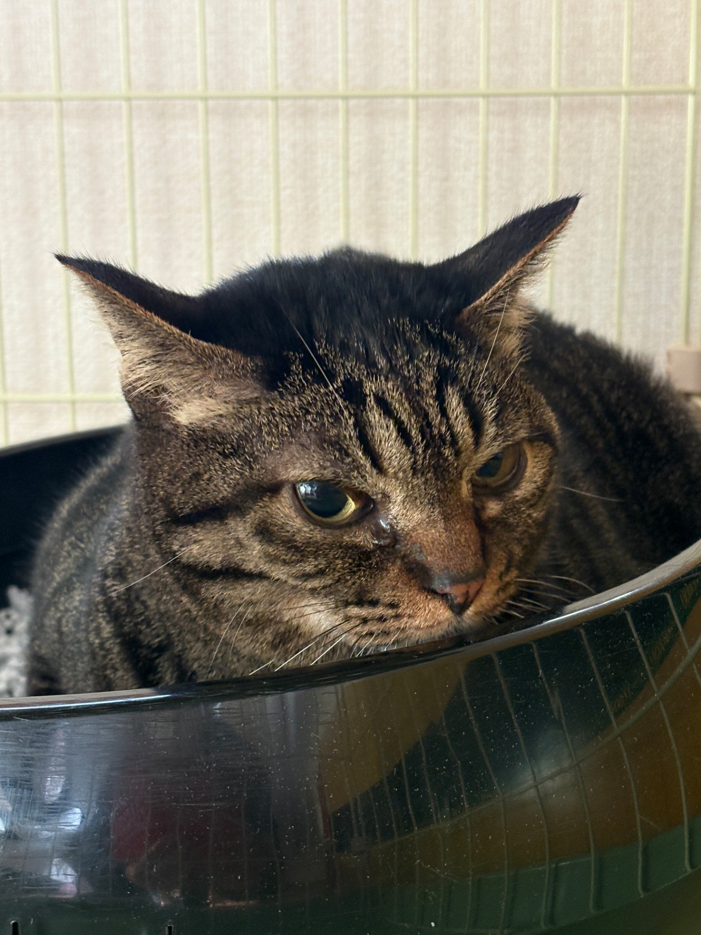 幸せになりました！