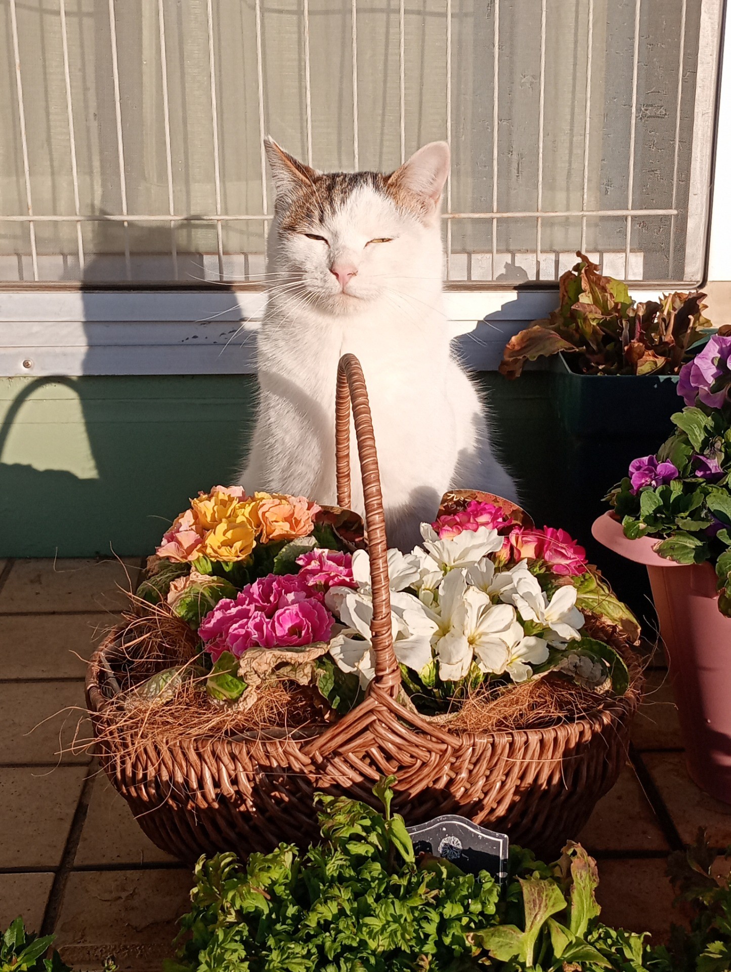 お花いかがですか
