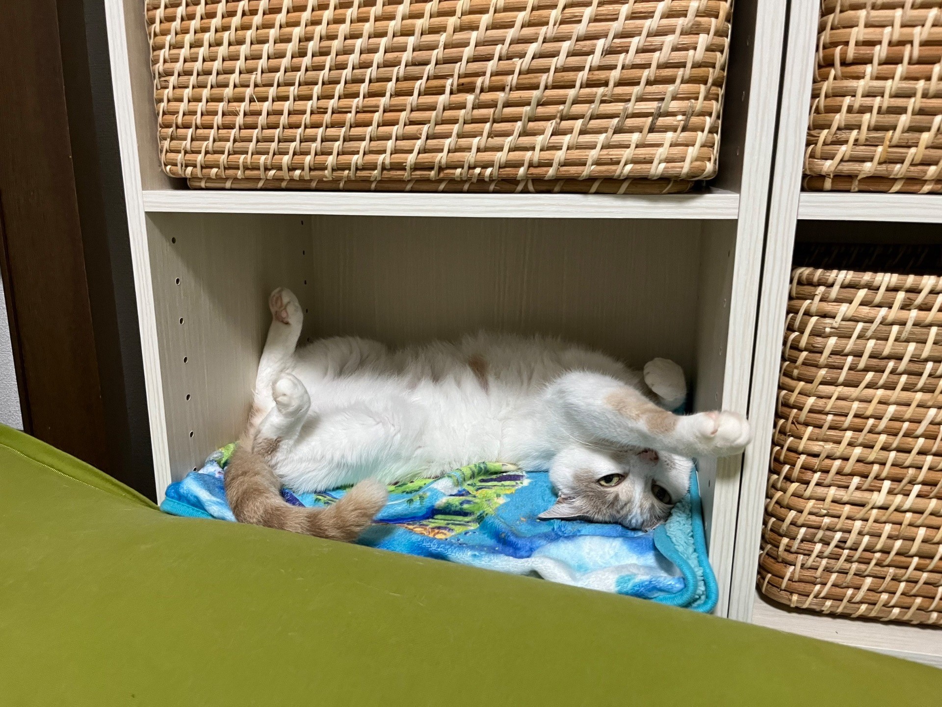 おうちさいこーっ！