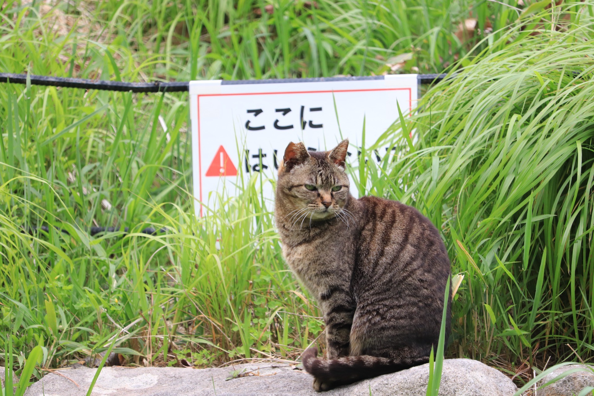 見張り番