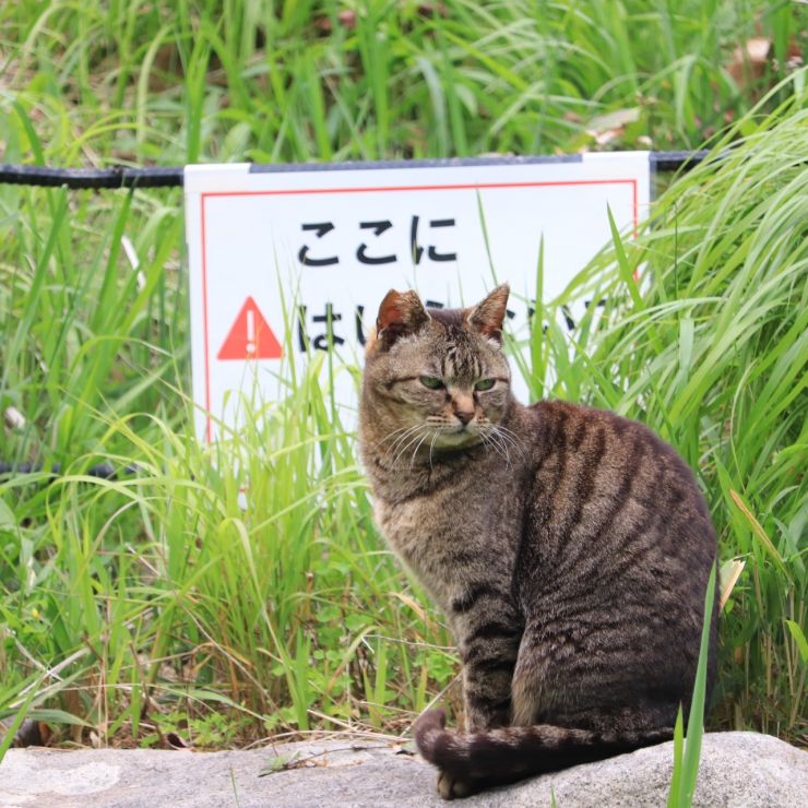 見張り番