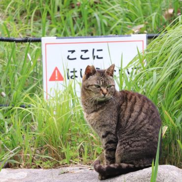 見張り番