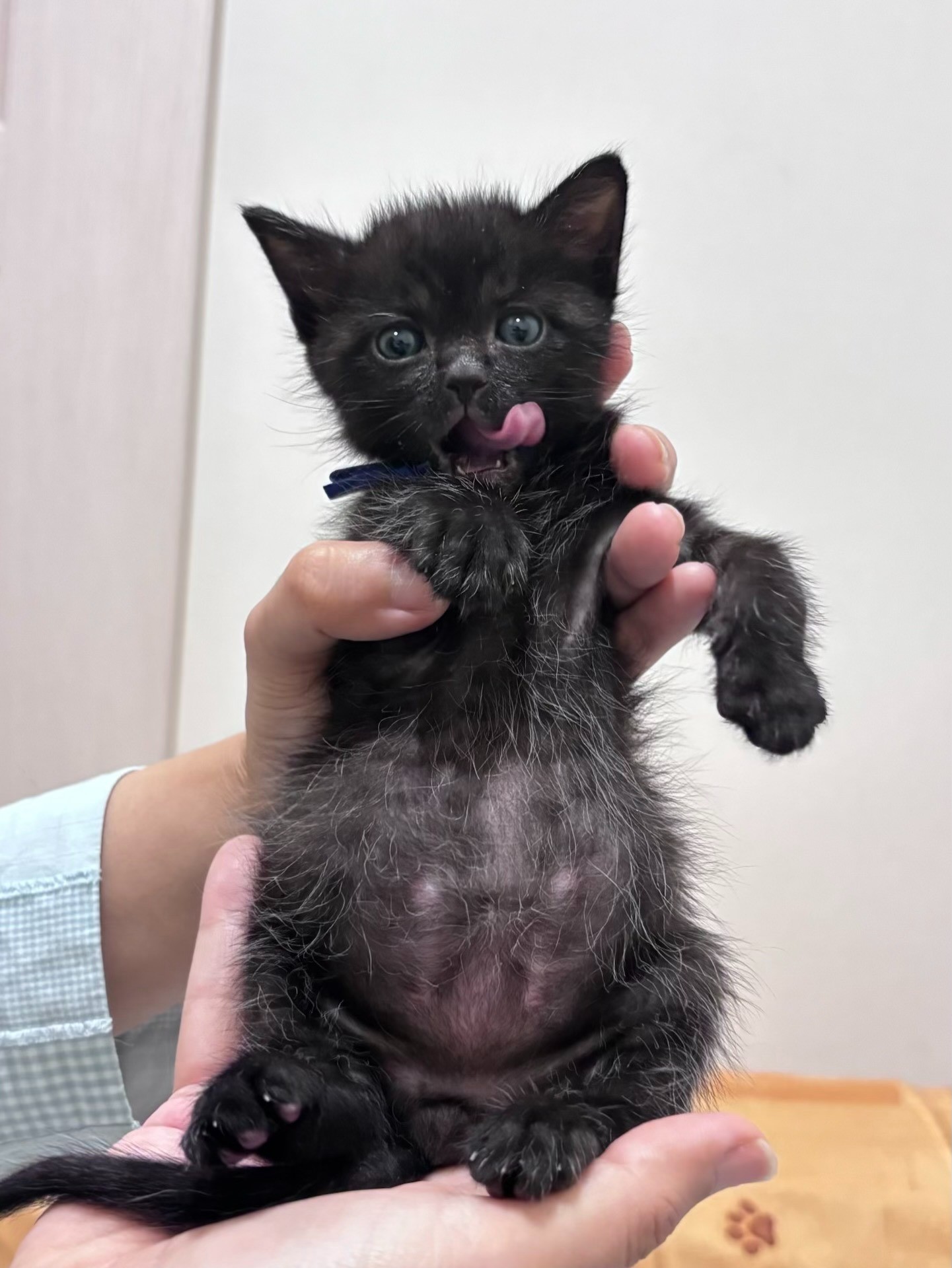 美味しくて、ちょいと食べすぎた僕