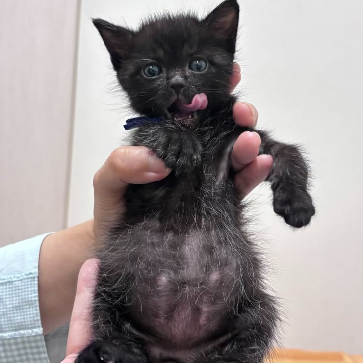 美味しくて、ちょいと食べすぎた僕