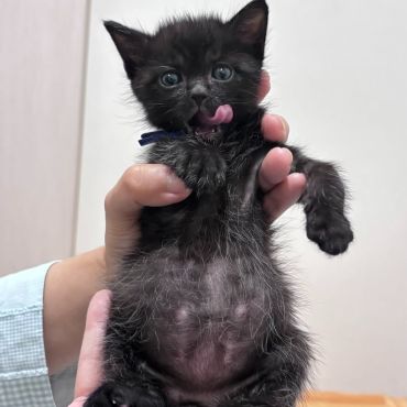 美味しくて、ちょいと食べすぎた僕