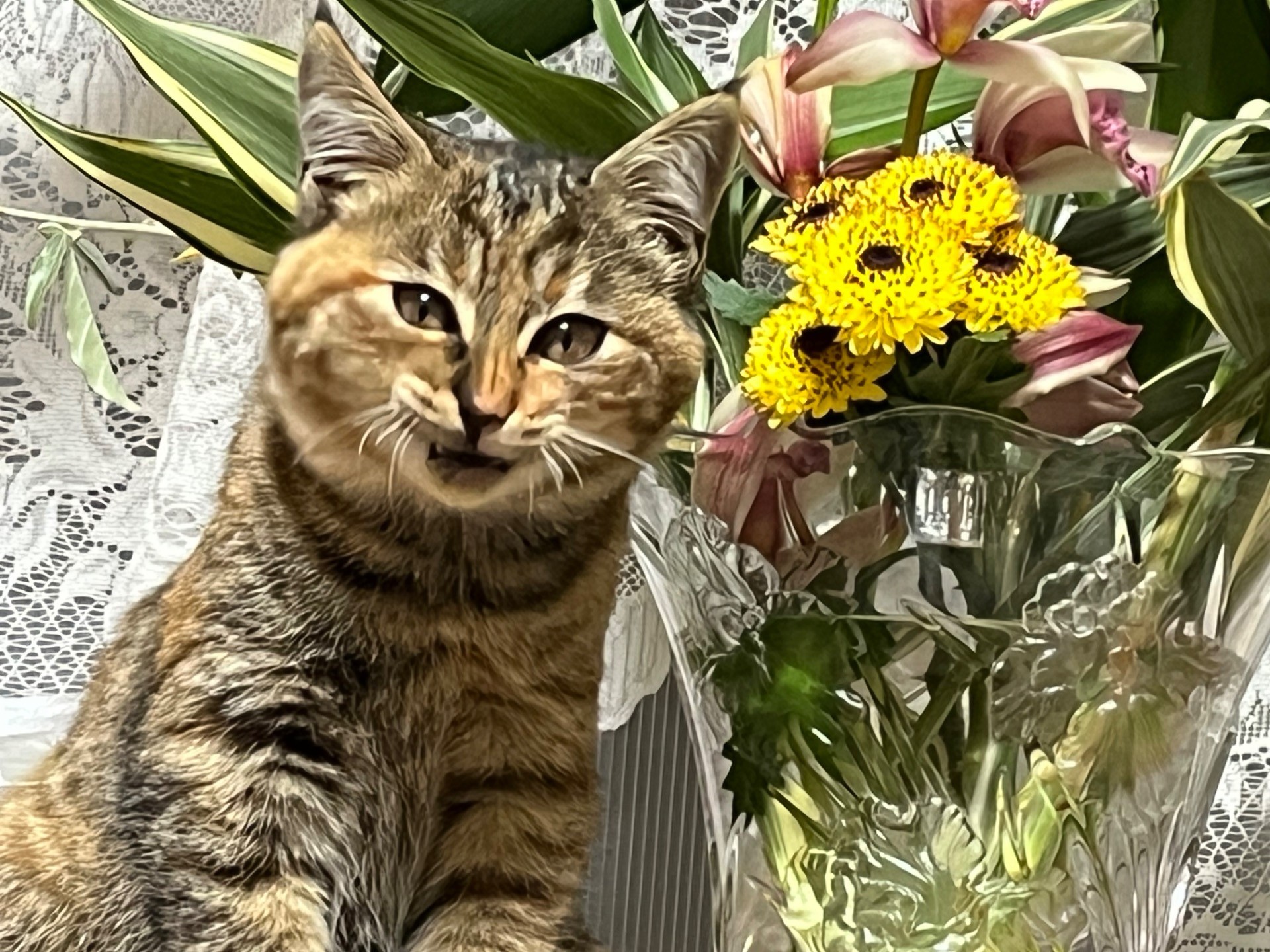 交通事故から生還