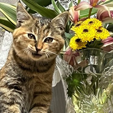 交通事故から生還