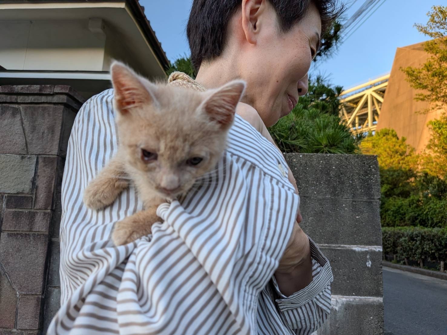 保護しました
