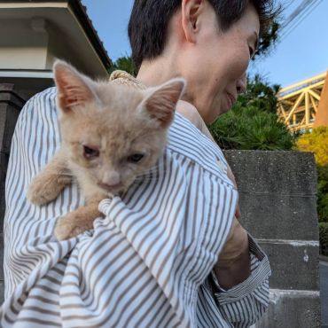 保護しました