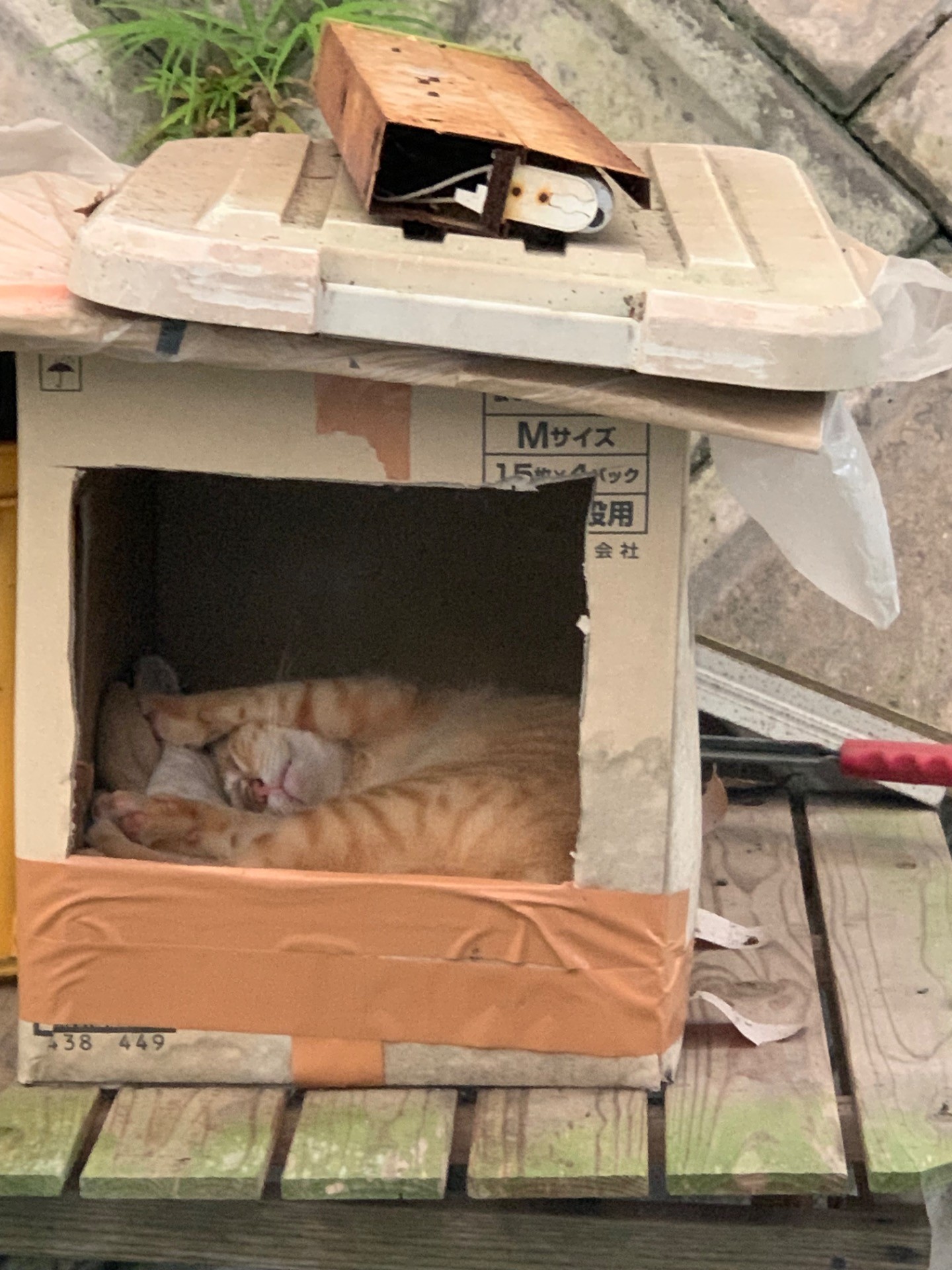 安心して眠れる場所