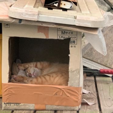 安心して眠れる場所