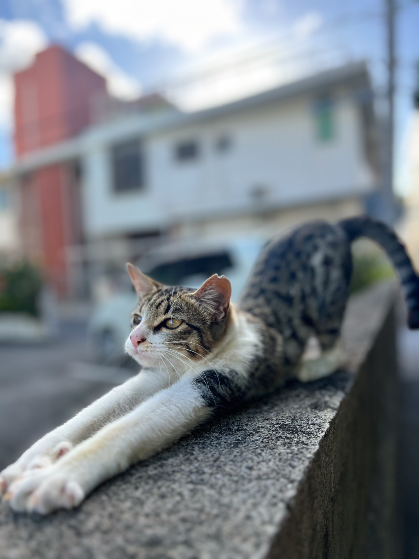 安心して、のびをする朝