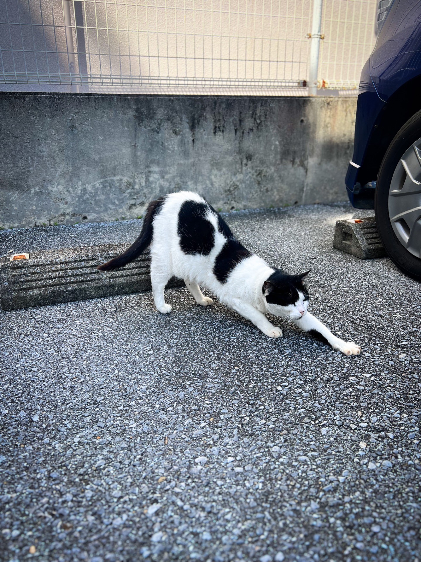 バック駐車、完了です。