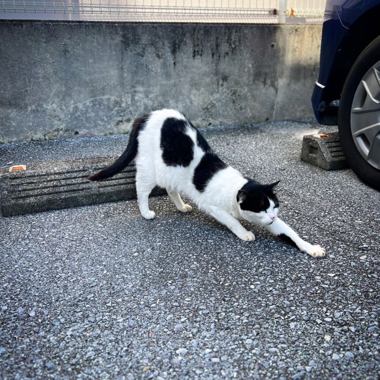 バック駐車、完了です。