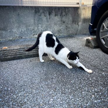 バック駐車、完了です。