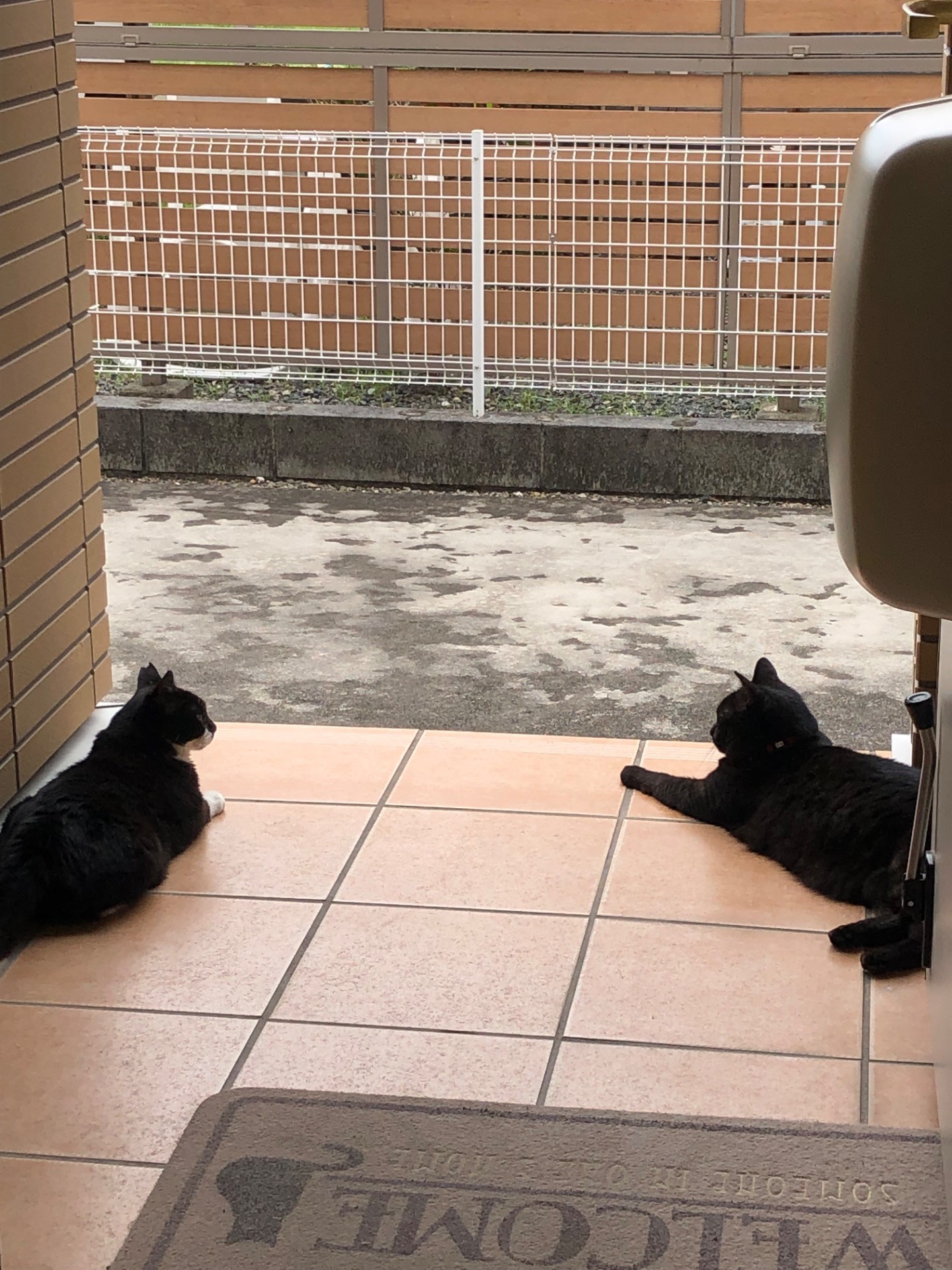 仲良し