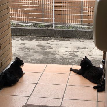 仲良し