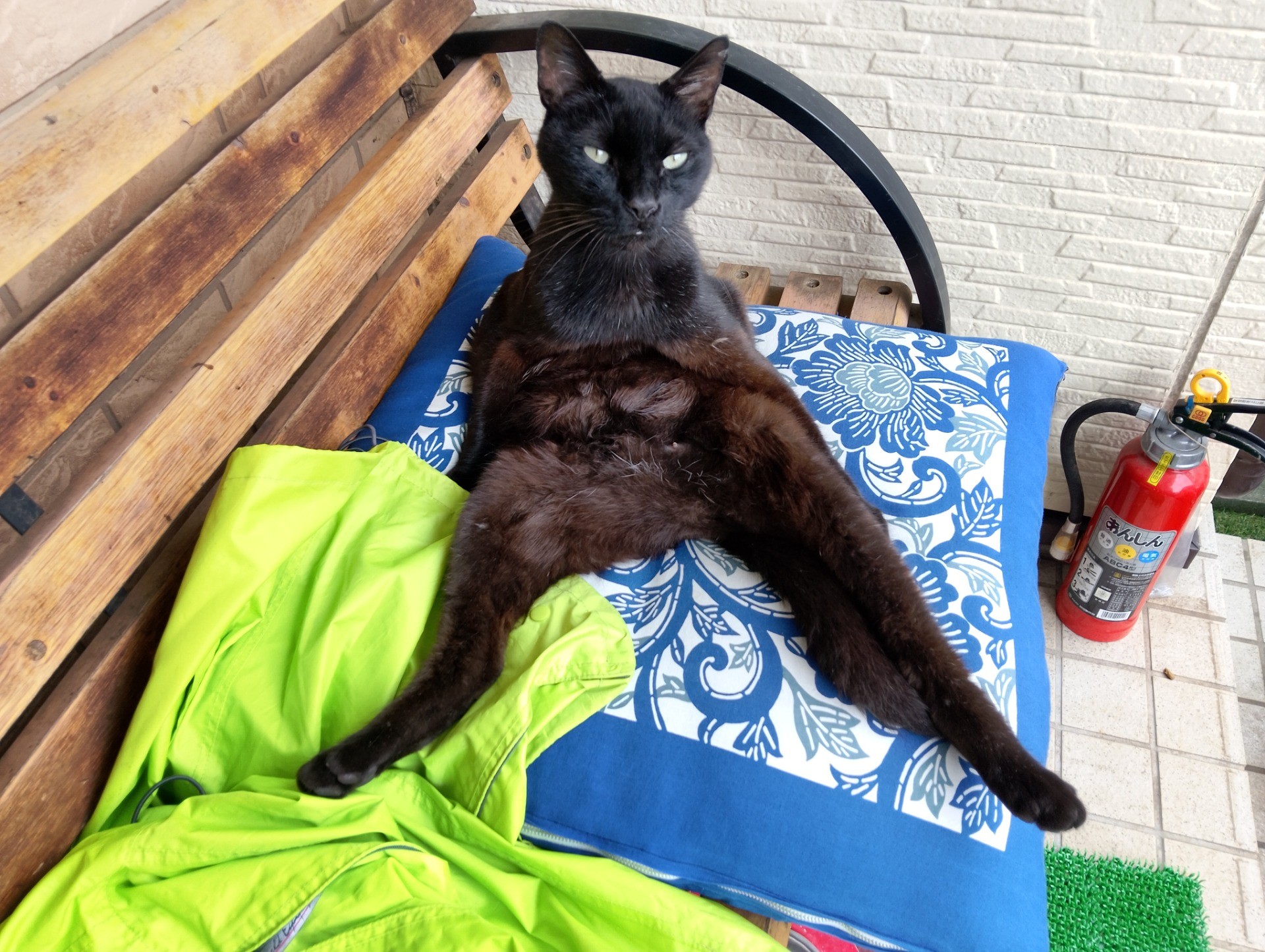 お外でノビノビ